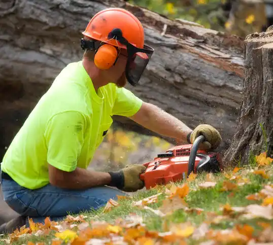 tree services Gray